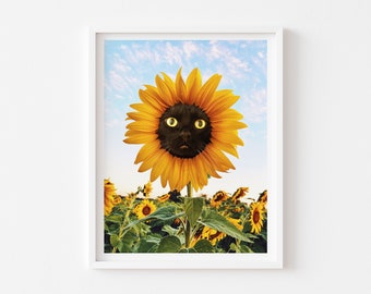 May include: A black cat's face is superimposed onto the centre of a yellow sunflower. The sunflower is in a field of other sunflowers.