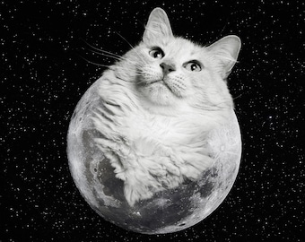 60万円です。宇宙猫「見つめる」(オリジナルイラスト絵画２L判サイズ) ed70b82bdd435ec88e5fde3d356087