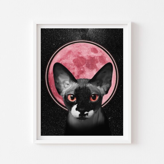 Full Moon Cat Print, Pink Moon Artwork, Space Poster, Sphynx