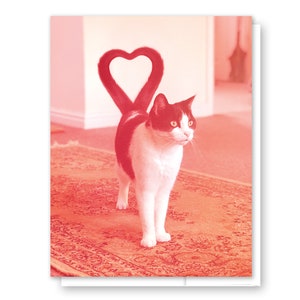 Carte de Saint-Valentin chat, carte de voeux coeur chat rose, carte mari femme, carte parent chat amoureux des chats, papeterie chat, carte à tout moment