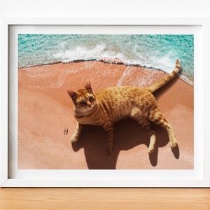 May include: A large orange tabby cat lies on a sandy beach with a blue ocean wave in the background. Two tiny figures are walking on the sand in the distance.