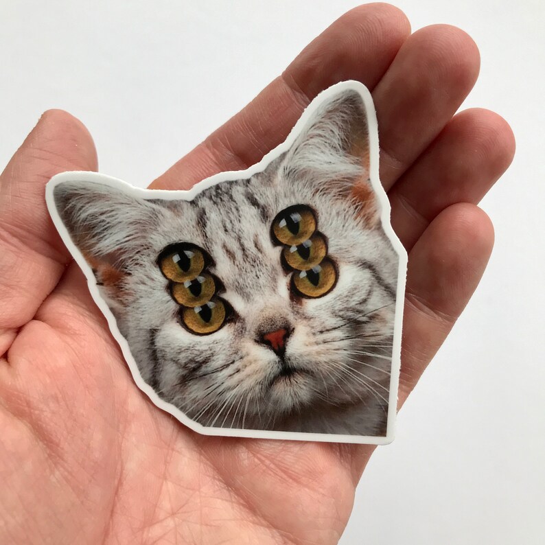 K&ouml;nnte beinhalten: Ein Aufkleber mit einer Katze mit mehreren Augen. Die Katze hat grau-wei&szlig;es Fell und mehrere S&auml;tze brauner Augen. Der Aufkleber wird in einer Hand vor wei&szlig;em Hintergrund gehalten.