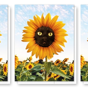 Wenskaart zonnebloem kat, wenskaart bloem, zwarte kat cadeaukaart, blanco A2-kaart, bloem briefpapier, kaart beste vriend, verjaardagskaart