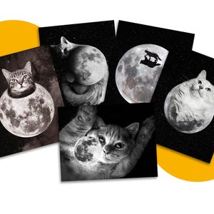 Vollmond Katzen Postkarten Set, Schwarz und Weiß, Astronomie, Mond Kunst, Postkartensammler, Katzenliebhaber, Katzenperson, Brieffreundschaft, Postkarten an Wähler