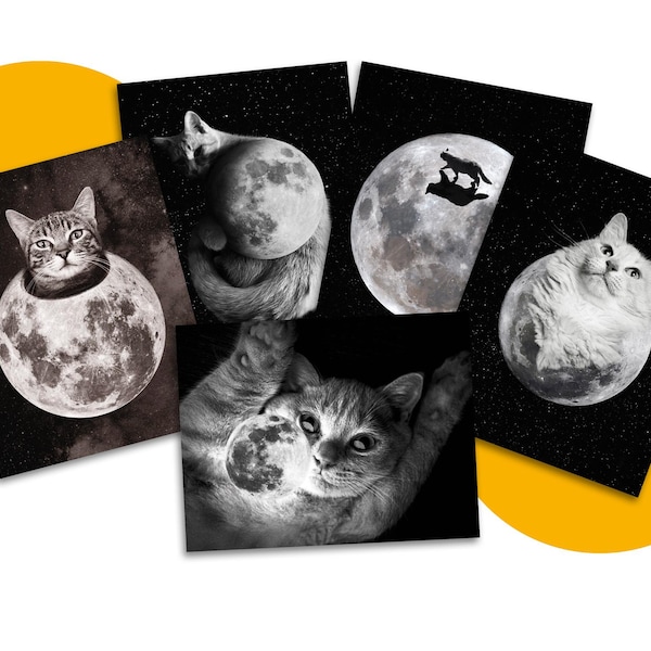 Vollmond Katzen Postkarten Set, Schwarz und Weiß, Astronomie, Mond Kunst, Postkartensammler, Katzenliebhaber, Katzenperson, Brieffreundschaft, Postkarten an Wähler
