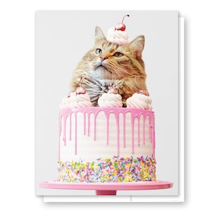 Carte d'anniversaire chat, carte d'anniversaire rose, anniversaire de chaton, lot de cartes de chat, cartes d'anniversaire drôles, carte de maman chat, carte A2, carte de chat