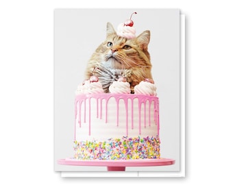 Katzen Geburtstagskarte, rosa Geburtstagskarte, Kitty Geburtstag, Katzenkarten-Set, lustige Geburtstagskarten, Katzenmutterkarte, A2 Karte, Katzenperson