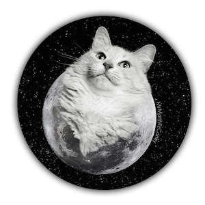 Vollmond Katze Aufkleber, weiße Katze, schwarz & weiß, Weltraum Katze Aufkleber, Katzen Geschenk, Vinyl Aufkleber, Laptop Aufkleber, Scrapbooking Mond, Katzenliebhaber