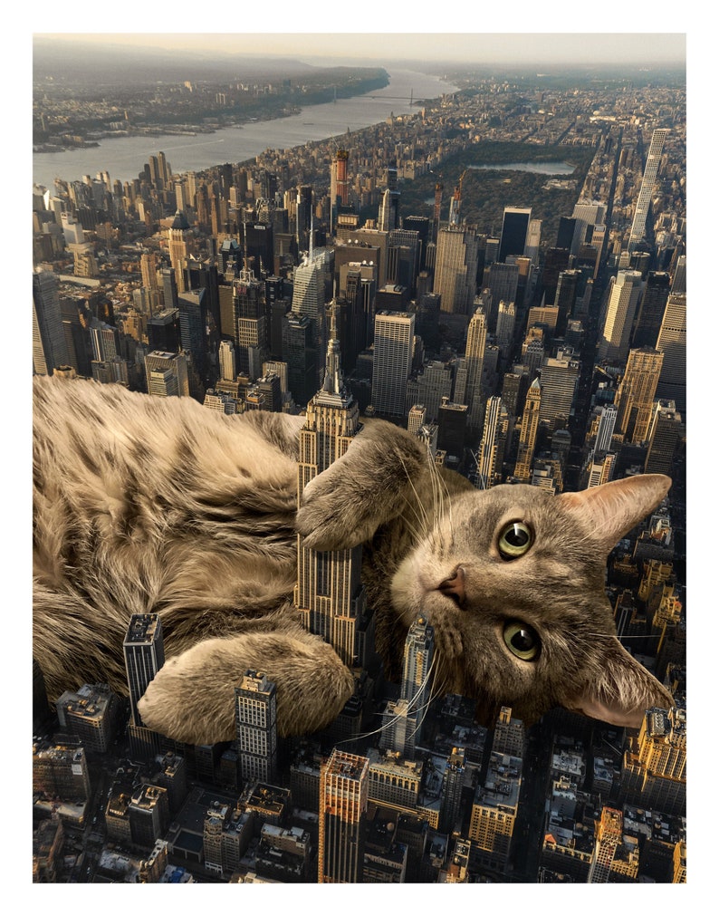New York City Cat Art Print NYC Wall Art New York Poster Etsy