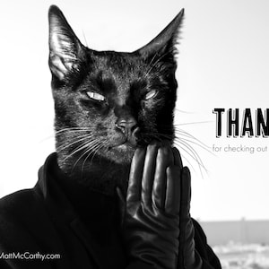 May include: A black cat wearing a black leather glove, with the text "THANKS for checking out my shop" on a white background.