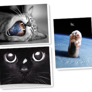 Juego de 3 tarjetas de gatos espaciales, tarjetas en blanco con sobres, tarjeta para amantes del espacio, cumpleaños espacial, gatos astronómicos, agradecimiento, tarjetas para cualquier ocasión.