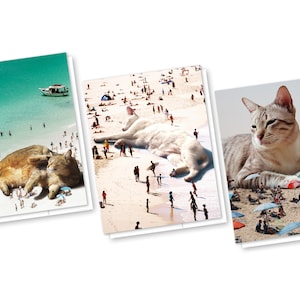 Jeu de 3 cartes Beach Cats, Cartes de voeux vierges avec enveloppes, Carte de personnage avec chat, Anniversaire de chat, Carte de voeux de plage, Vacances, Carte de correspondance de chat