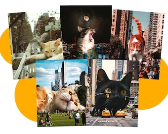 May include: A collage of six images featuring cats superimposed on cityscapes. One cat is yawning under a full moon, another is lying on a building ledge, and others are in various urban settings. The images are arranged with an orange circle in the background.