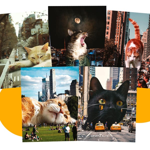 New York City Kitties ansichtkaart set van 10 katten ansichtkaarten - surrealistische kattenliefhebber kunst, ansichtkaarten voor kiezers, slakkenpost, penvriend, postcrossing