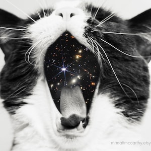 James Webb Telescope Cat Print Universe Art Celestial Print Space
