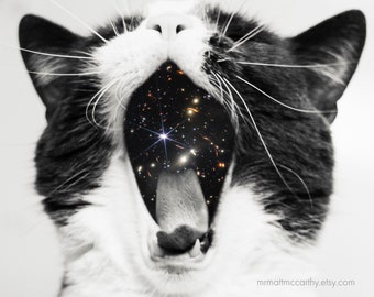 James Webb Telescope Cat Print | Universe Art | Celestial Print | Space Art | Stars | Cat Lover Gift | Astronomy Gift | Cat Housewarming