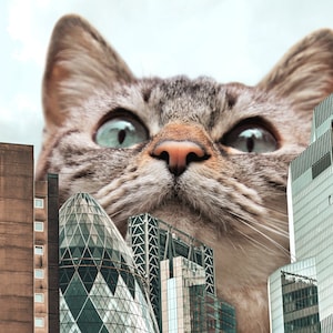 London Skyline Print, London Cat, London Poster, Unieke Cat Gift, Cat Lovers, Cad Dad, Cat Mom Gift, London Wall Art, London Map, Cat Decor