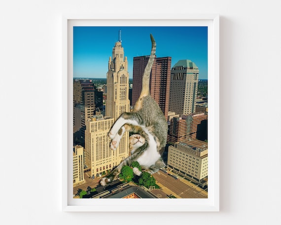 Sleeping Cat Print, Cat Lover Gift, Columbus Ohio, Collage Artwork, Funny Cat, Kids Cat Room, Dorm Decor, Ohio State Decor, OSU, Brutus OSU