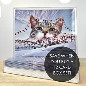 May include: A box of 12 Christmas cards featuring a humorous image of a cat's head peeking over a snowy mountain range with Christmas lights strung across the top. The text "SAVE WHEN YOU BUY A 12 CARD BOX SET!" is printed on the front of the box.