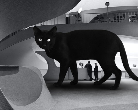 Midcentury Modern Black Cat Art Print, TWA Terminal, Black and White Photography, Monochrome Artwork, Cat Lover, Architecture Gift