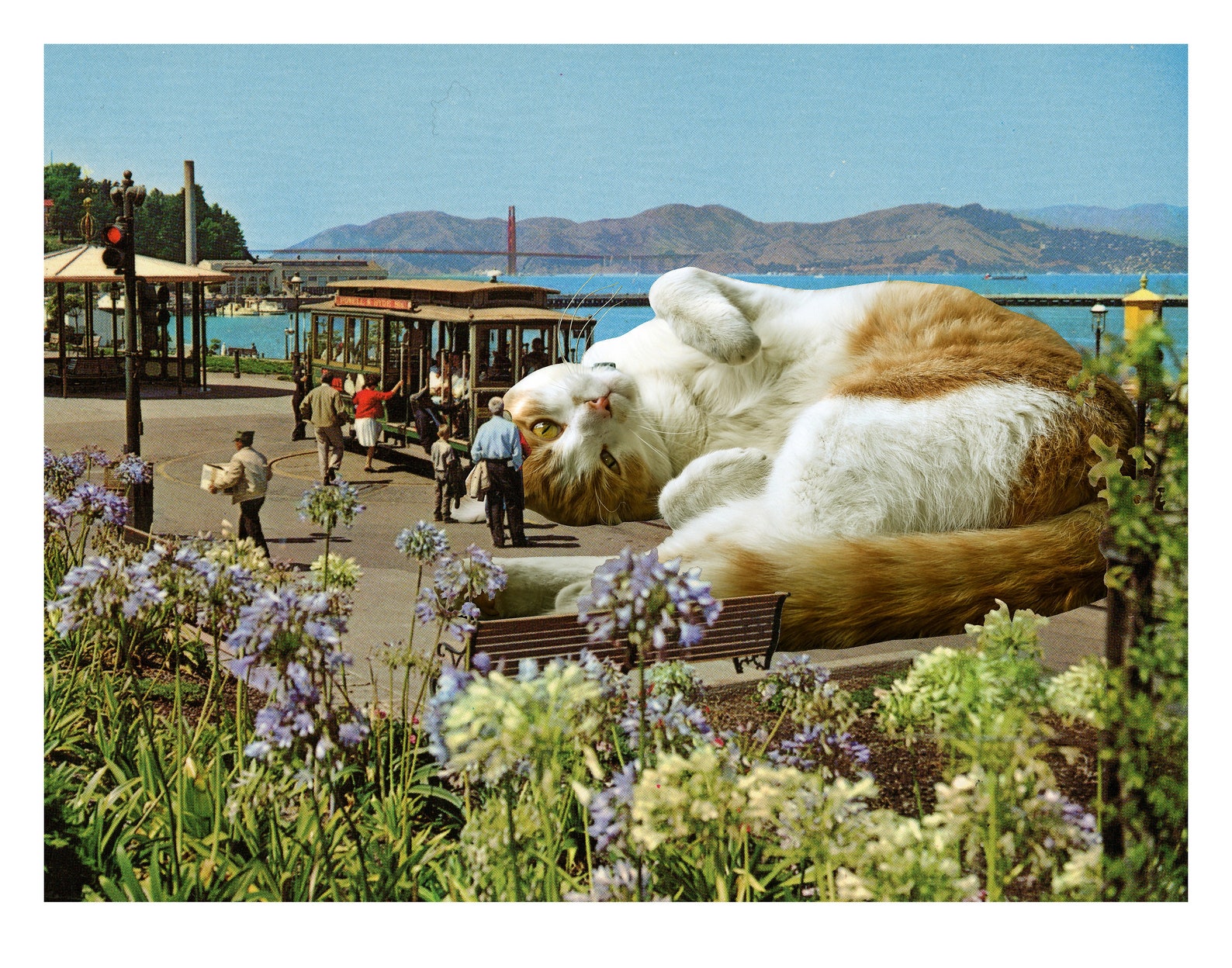 San Francisco Cat Art Print Golden Gate Bridge Vintage SF Etsy