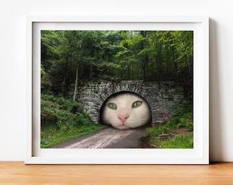 Surreale weiße Katze Tunnel - Kunstdruck: North Carolina Americana