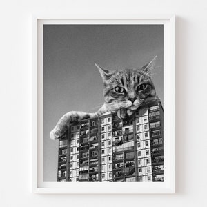 Black and White Rooftop Cat Print