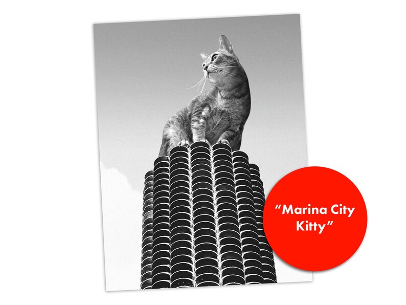 K&ouml;nnte beinhalten: Ein Schwarz-Wei&szlig;-Foto, das eine Katze auf einem zylindrischen Geb&auml;ude mit einem sich wiederholenden Balkonmuster zeigt. Eine leuchtend rote kreisf&ouml;rmige Grafik in der unteren rechten Ecke enth&auml;lt den wei&szlig;en Text "Marina City Kitty".