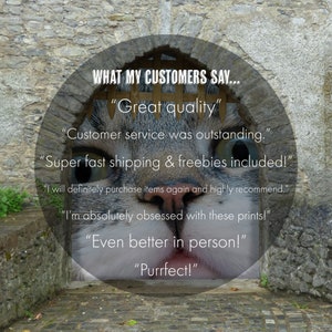 May include: A cat's face peeking through a stone archway with the text "WHAT MY CUSTOMERS SAY..." and several customer reviews including "Great quality", "Customer service was outstanding", "Super fast shipping & freebies included", "I will definitely purchase items again and highly recommend", "I'm absolutely obsessed with these prints!", "Even better in person!" and "Purrfect!"