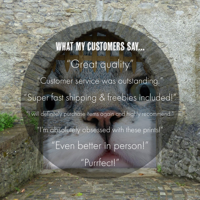 May include: A cat's face peeking through a stone archway with the text "WHAT MY CUSTOMERS SAY..." and several customer reviews including "Great quality", "Customer service was outstanding", "Super fast shipping & freebies included", "I will definitely purchase items again and highly recommend", "I'm absolutely obsessed with these prints!", "Even better in person!" and "Purrfect!"