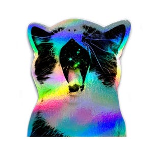 Adesivo holográfico de gato James Webb, universo, celestial, arte espacial, estrelas, arco-íris, presente para amantes de gatos, astronomia, decalque para laptop, garrafa de água