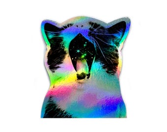 James Webb katt holografisk klistermärke, universum, himmelskt, rymdkonst, stjärnor, regnbåge, kattälskare present, astronomi, laptopdekal, vattenflaska