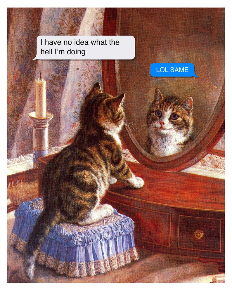 K&ouml;nnte beinhalten: Eine getigerte Katze sitzt auf einem blauen und wei&szlig;en Kissen vor einem Schminkspiegel. Die Katze schaut in ihren Spiegelbild. Der Text "I have no idea what the hell I'm doing" befindet sich in einer Sprechblase &uuml;ber der Katze. Der Text "LOL SAME" befindet sich in einer Sprechblase &uuml;ber dem Spiegelbild der Katze.