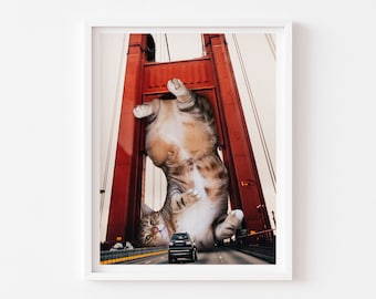 Op de afbeelding: Een grote tabbykat hangt ondersteboven aan de Golden Gate Bridge in San Francisco, Californië. Een auto rijdt onder de kat door.