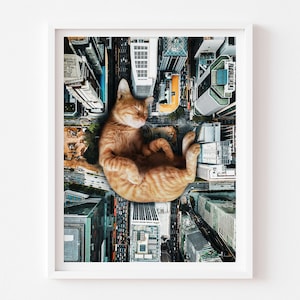 フィレンツェ イタリア 猫のアートプリント、イタリアのアート