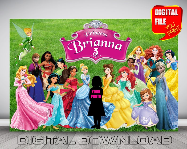princess birthday backdrop disney princess birthday party banner party decoration digital princess frozen cinderella little mermaid