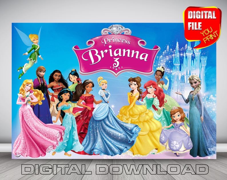 princess birthday backdrop disney princess birthday party banner party decoration digital princess frozen cinderella little mermaid