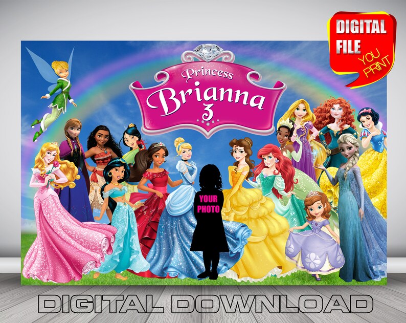 princess birthday backdrop disney princess birthday party banner party decoration digital princess frozen cinderella little mermaid