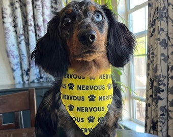 Nervous Bandana for Pets