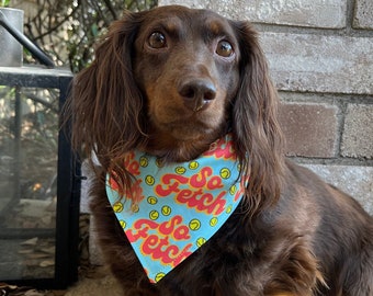 So Fetch Bandana for Dogs and Other Pets 