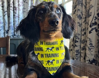 In Training Bandana for Dogs