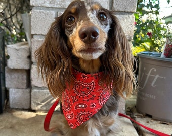 Red Bandana for Dogs and Other Pets