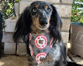 Squirrel Patrol Bandana for Dogs and Other Pets