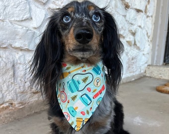 Camping Buddy Bandana for Pets
