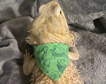 Listing 4 der Reptilien Bandanas
