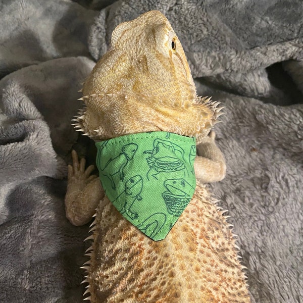 Reptile Bandanas Listing 4