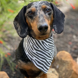 Zebra Print Bandana for Dogs and Other Pets image 1