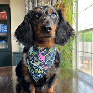 Jurassic Bandana for Dogs and Other pets image 1