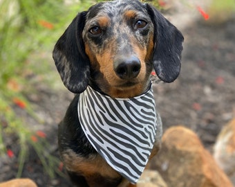 Serape Bandana for Dogs and Other Pets 