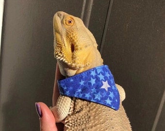 NEW! Reptile Bandanas Listing 10